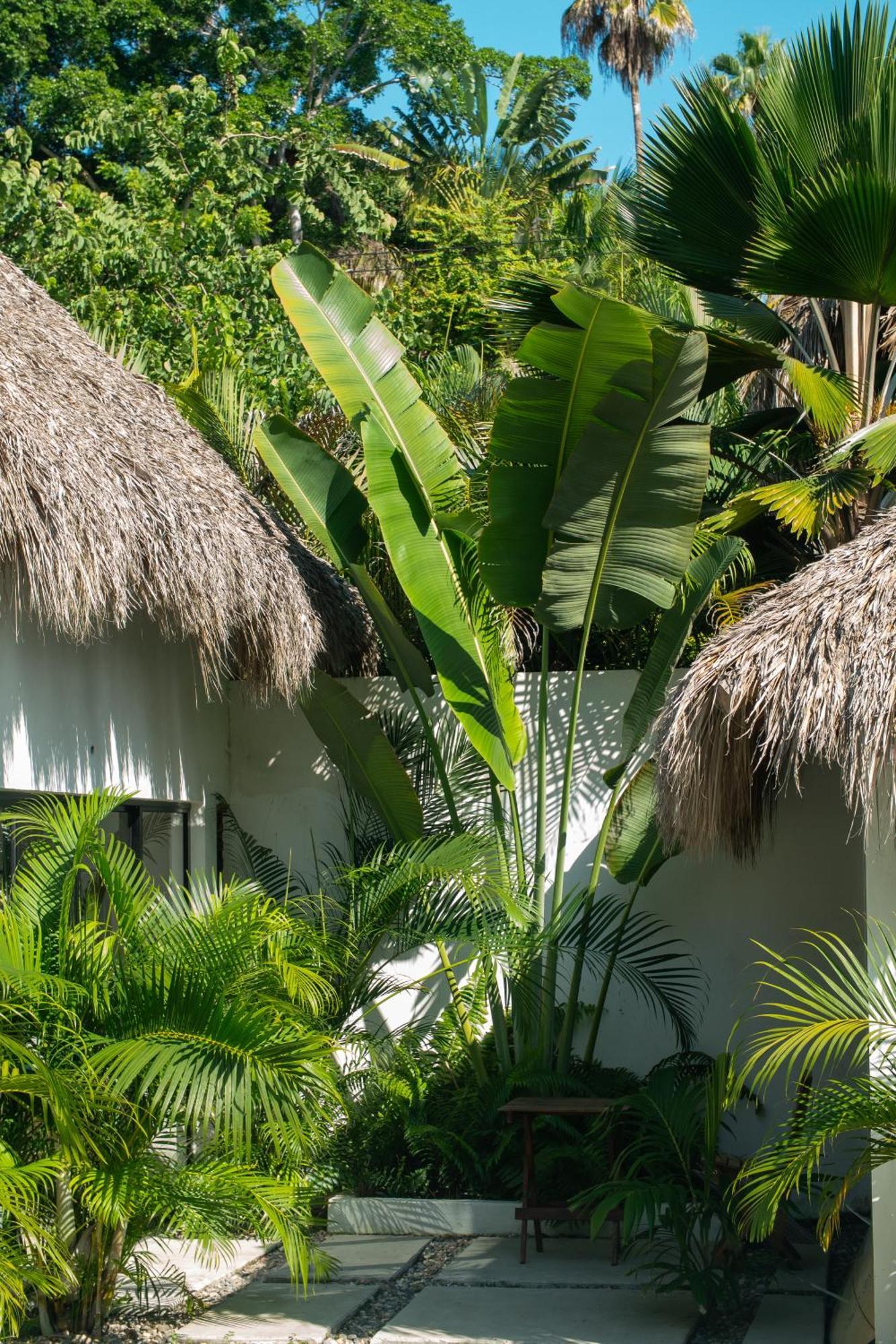 Sayulita Surf Bungalows Exterior foto